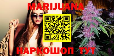 сатива Можга