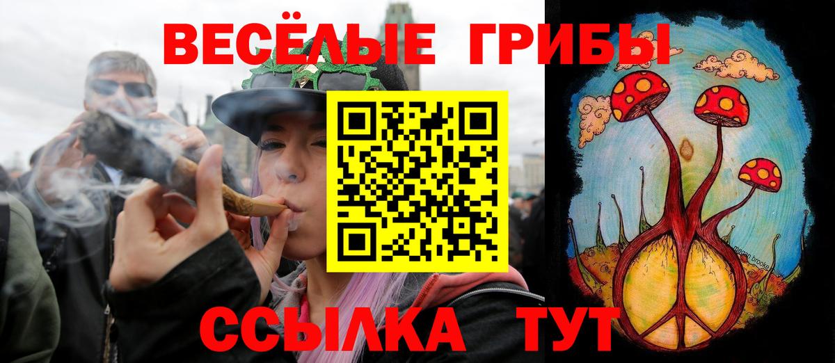 сколько стоит  Вход с VPN  Черкесск  Галлюциногенные грибы MAGIC MUSHROOMS  Галлюциногенные грибы GOLDEN TEACHER 
